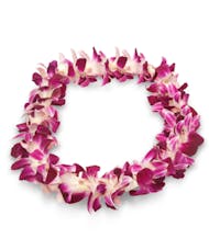 Purple Orchid  Lei